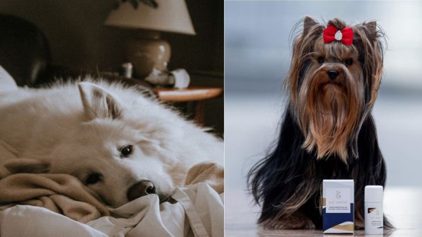 najsigurnija-kupnja-6,