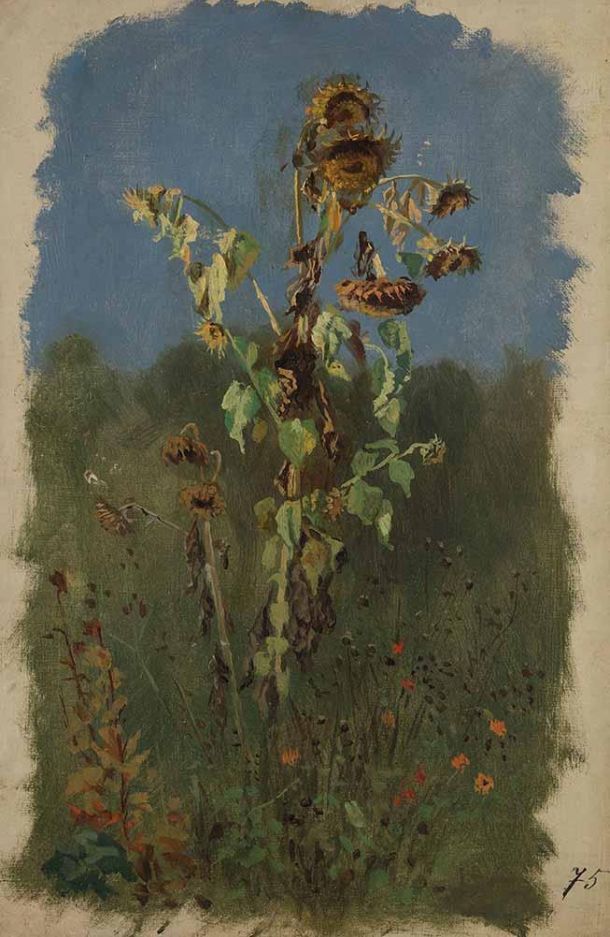 izlozba-eksploatacija-smrti-4