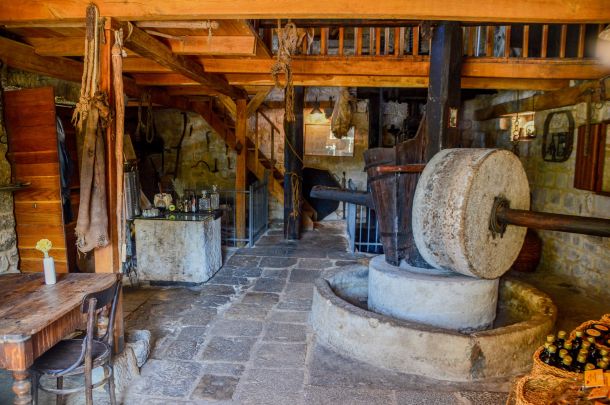 masline-nocnjak-brac-2