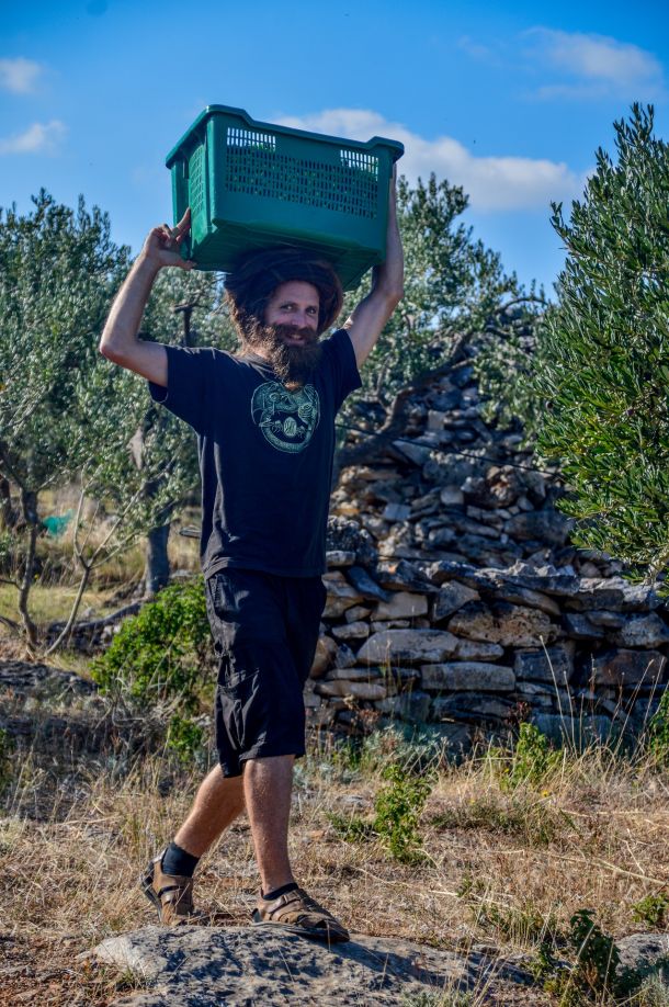 masline-nocnjak-brac-4