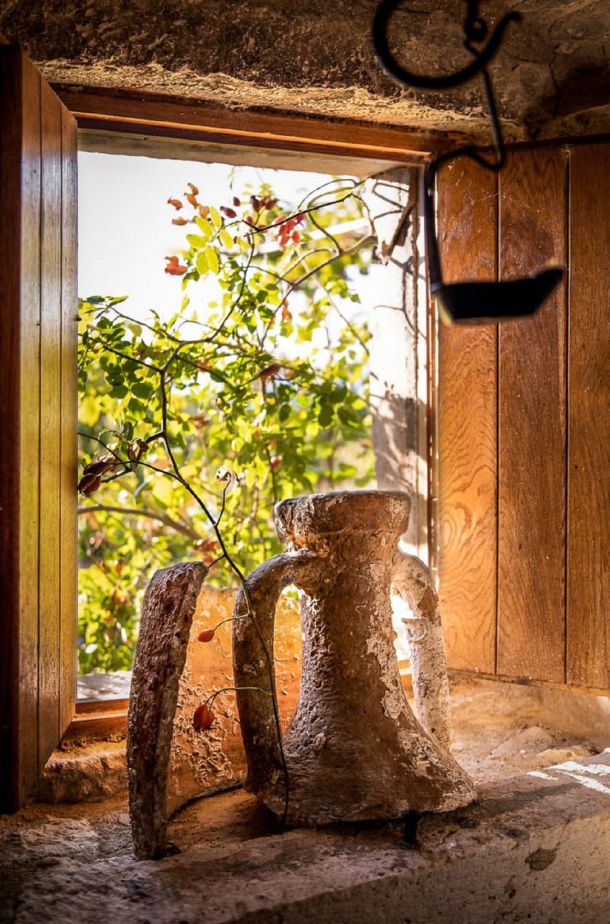 masline-nocnjak-brac-6