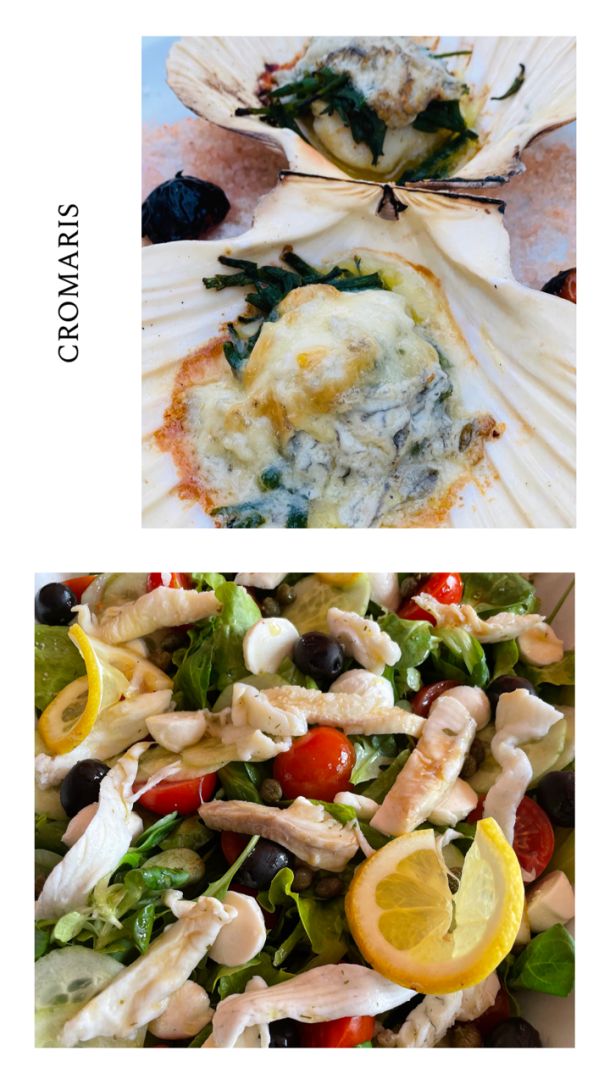 cromaris riba najbolji uzgoj