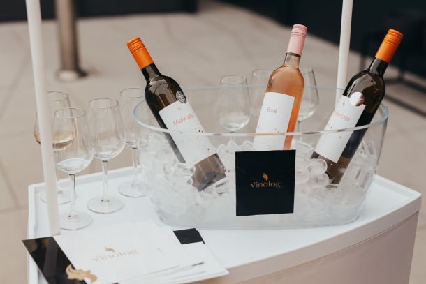 dogadjanje-inspiracije-razgovor-2