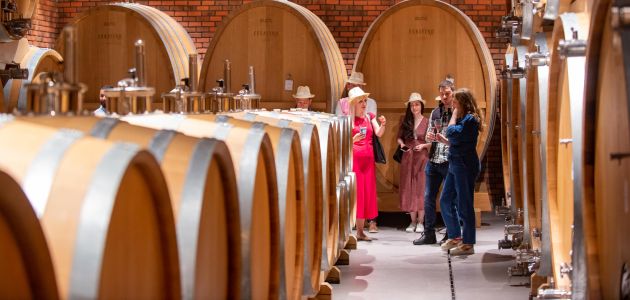 U slavonskim vinogradima predstavljena nova vina branda Enosophia