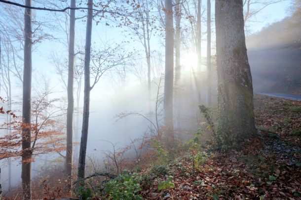 highlander-medvednica-1