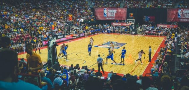 Velikani hrvatske košarke u NBA – četiri, ali vrijedna imena!