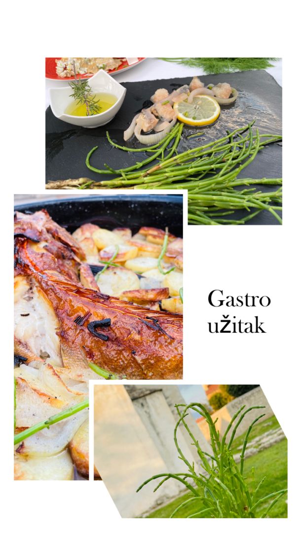 morske sparoge caklenjaca