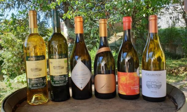 White blend zlatna vina1