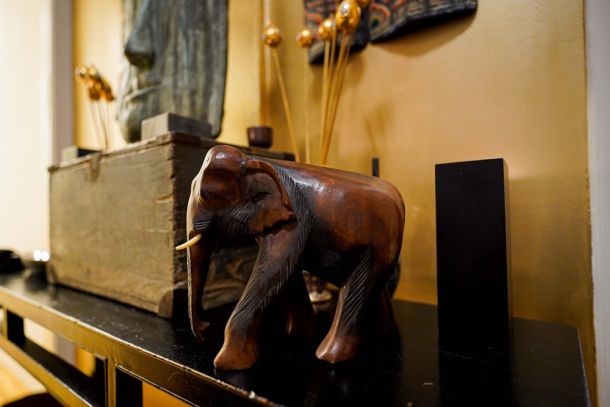 slon u salonu za tajlandsku masazu