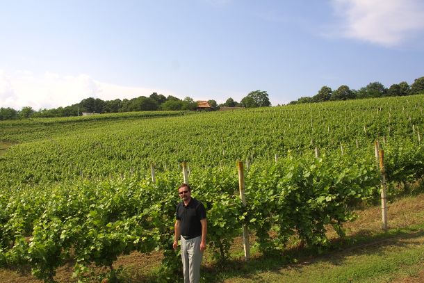 vinarija-miklauzic-03