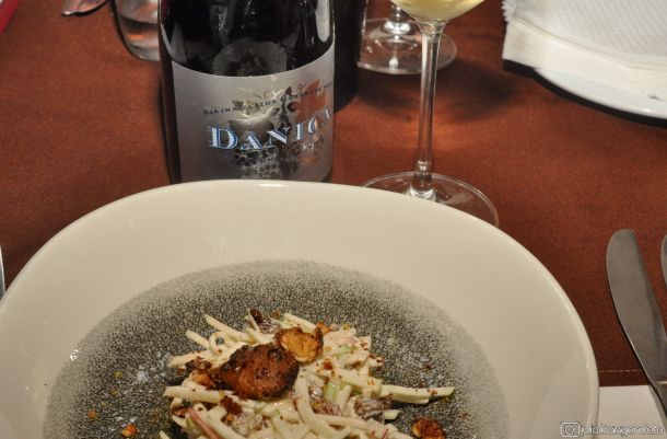 bogdanjusa-kusanja-2