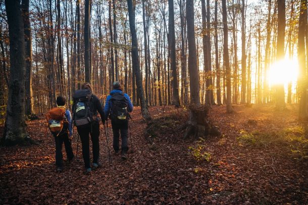 highlander-zagreb-22-4