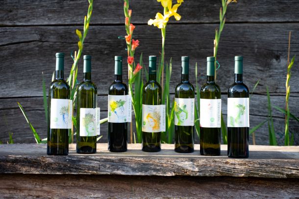 martine-sveti-ivan-zelina-1