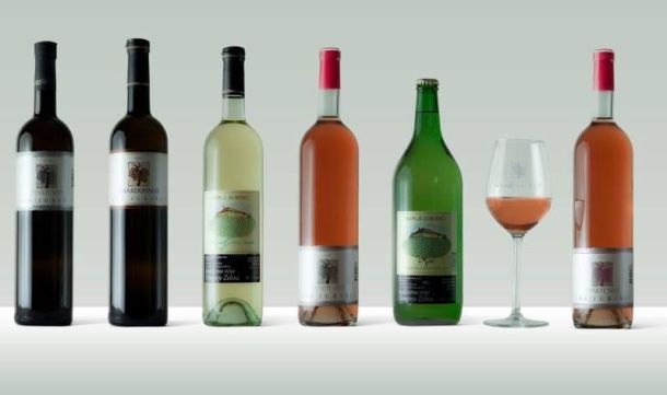 martine-sveti-ivan-zelina-3