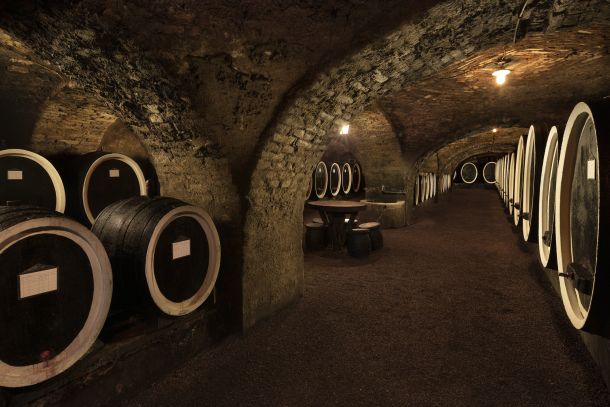 vinski Podrum vinarija kutjevo