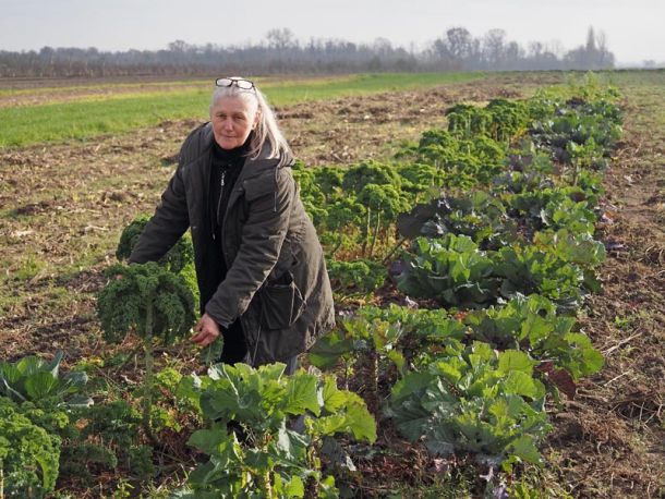 centar-rudolf-steiner-poljoprivreda-9