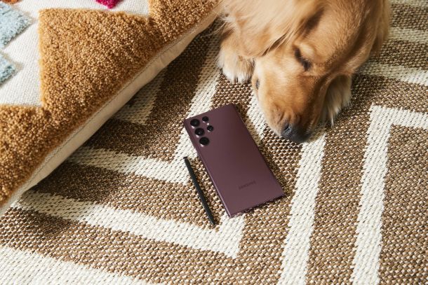 ljubimci-bespoke-jet-2