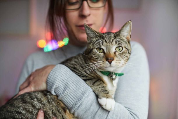 ljubimci-bespoke-jet-4