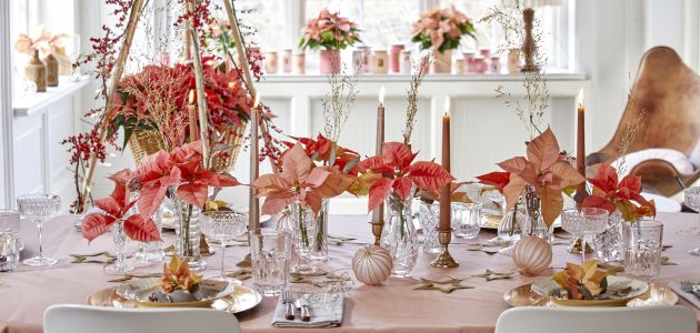 Cvjetni ukrasi za stol s božićnim zvijezdama