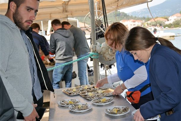 dan-malostonske-kamenice-1