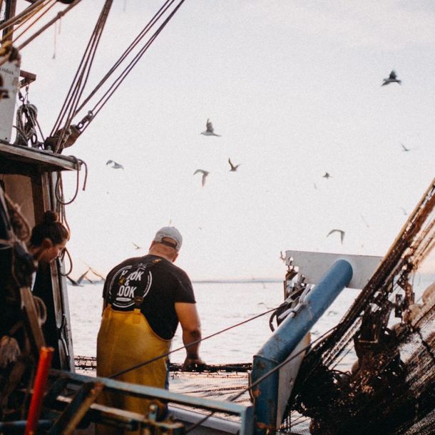 hook-cook-street-food-6