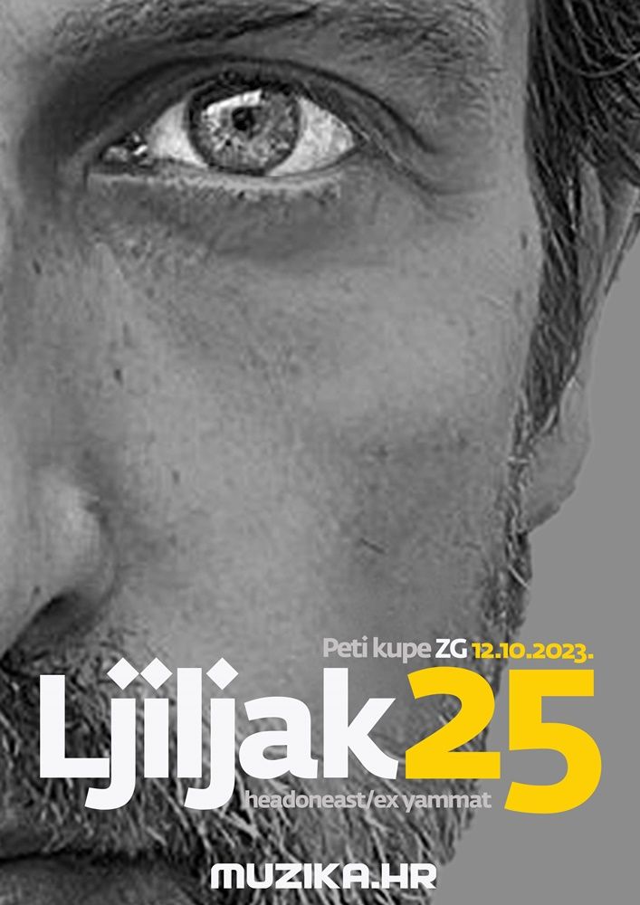 aleksandar-ljiljak-koncert-1