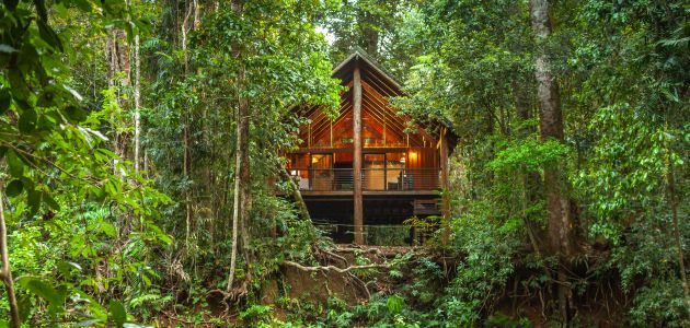 01-the-canopy-rainforest-treehouses