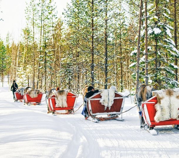 Reindeer sleigh in Finland Lapland in winter