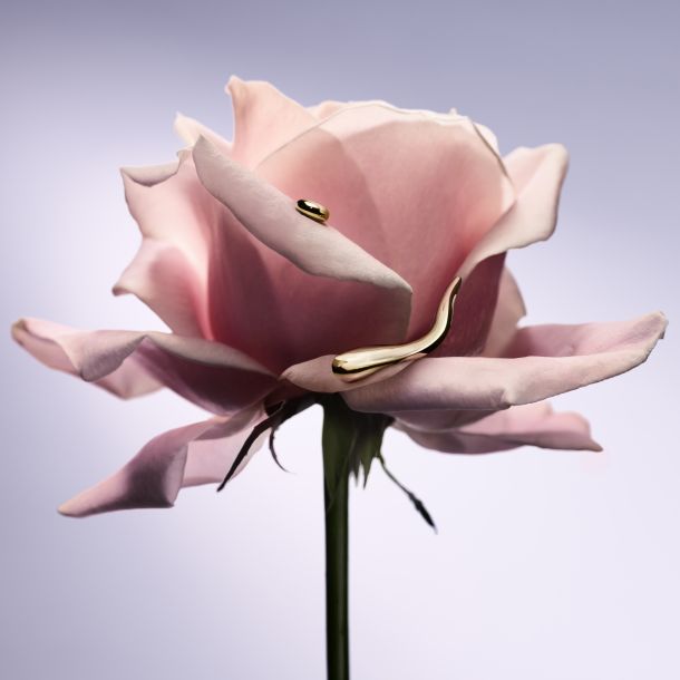miris novi parfem lancome