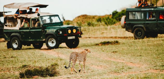 Kako organizirati najbolji foto safari u Tanzaniji – priču donosi Vlado Šestan