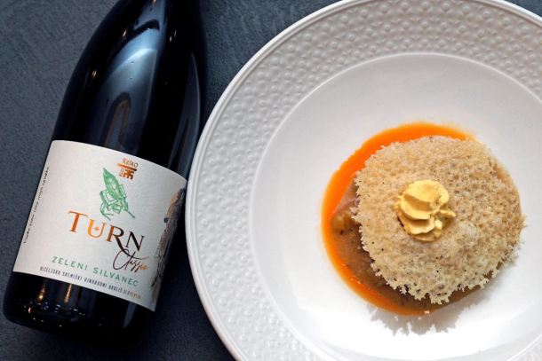 vino-zlico-slo-8