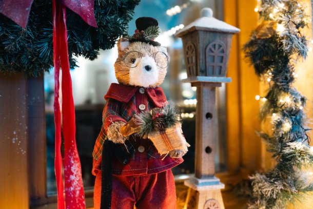 bota-sare-restoran-bozic-1