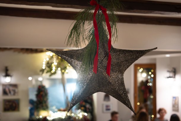 bota-sare-restoran-bozic-2