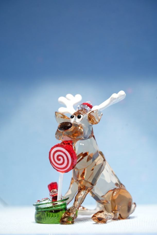 swarovski-arena-centar-2