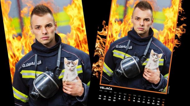 zapali u dumovac hoyka kalendar maca