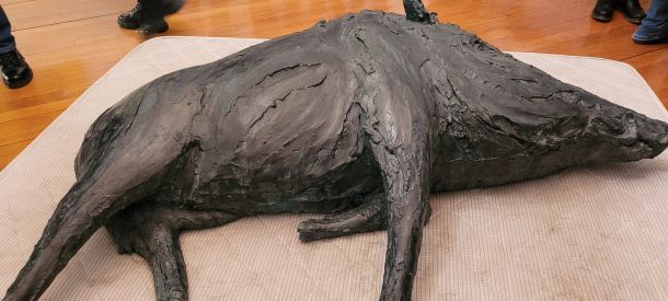 divlja svinja izlozba olga vujovic