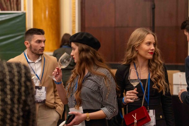 en-primeur-mlado-vino-1