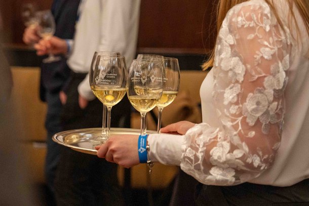 en-primeur-mlado-vino-4