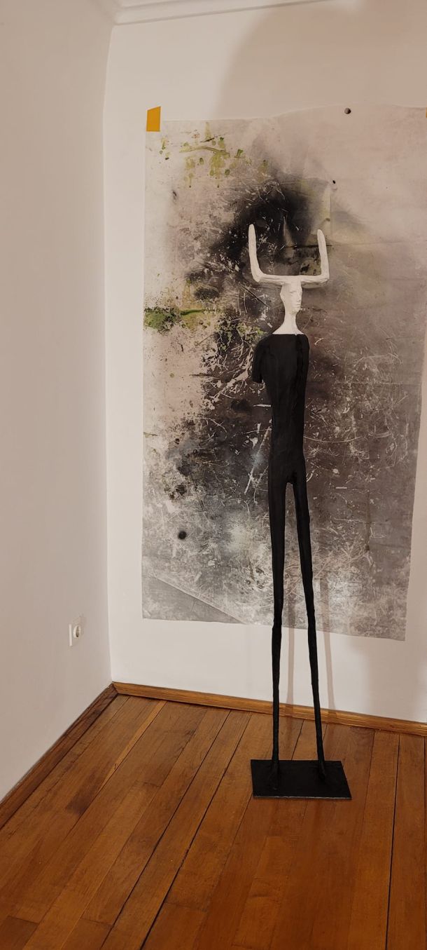 izlozba covjek olga vujovic