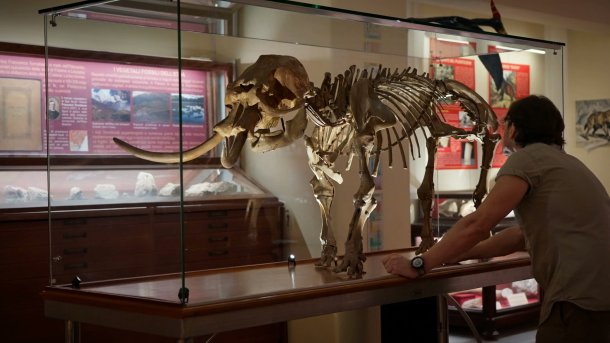 serija-pretpovijesni.divovi