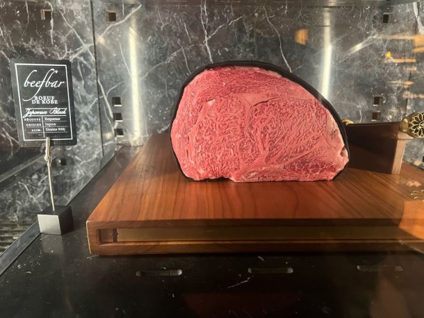 takenoko-kobe-vecer-2