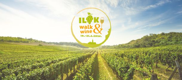ilok-walk-wine-4