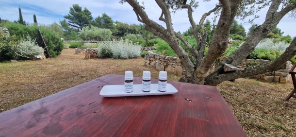 Fjori fôra etericna ulja biljke hvar