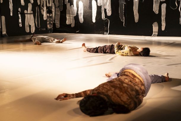 predstava ZPC_Selfiemorphia