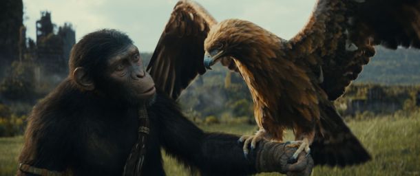 cinestar-akcija-3
