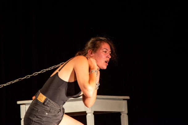 tonka predstava brbene vucice olga vujovic