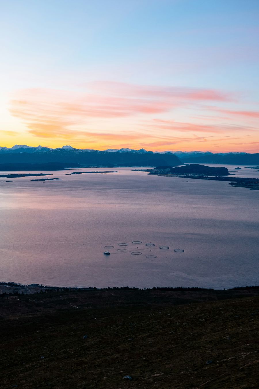 lov na losoe norveski losos Goaldet Kjerstad Norveska