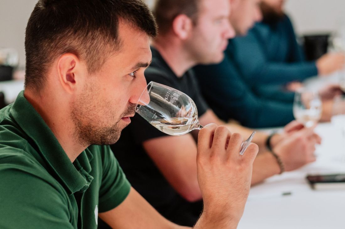 Vinske radionice edukacije sorta grasevina autor Stiglic