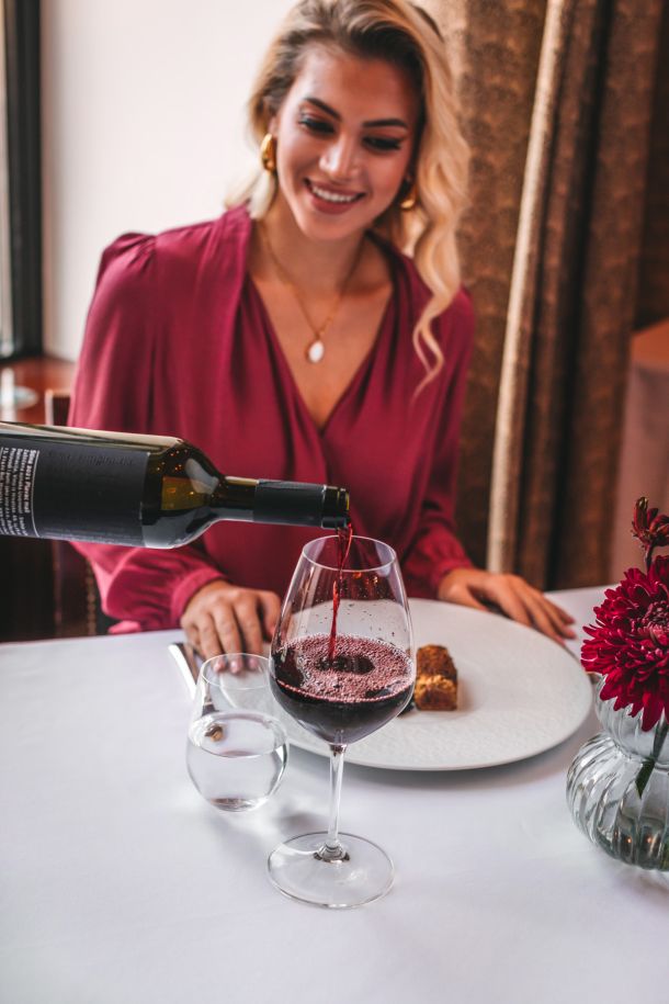 06-file-jelena-u-kori