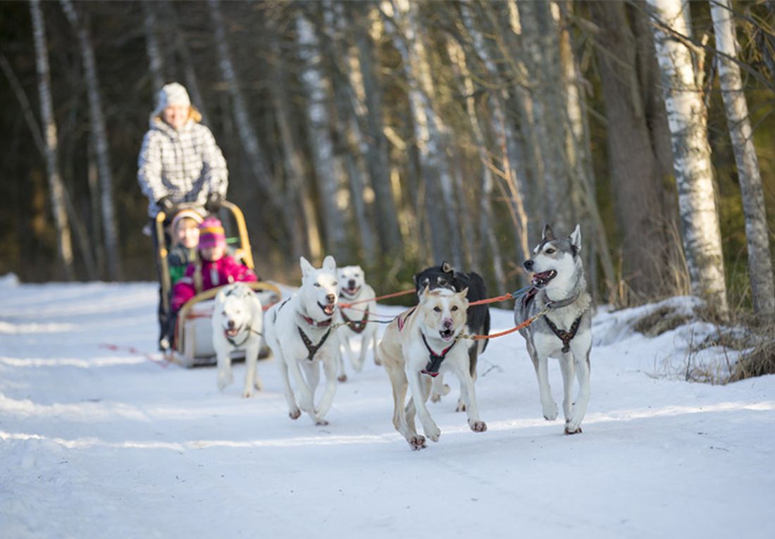 sveti-nikol-pokloni-03